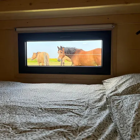 Alpstuga Tiny House La Cavalerie, Au Milieu Des Chevaux ! Annouville-Vilmesnil