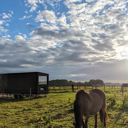 Tiny House La Cavalerie, Au Milieu Des Chevaux ! * Annouville-Vilmesnil