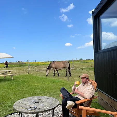 Tiny House La Cavalerie, Au Milieu Des Chevaux ! Alpstuga *