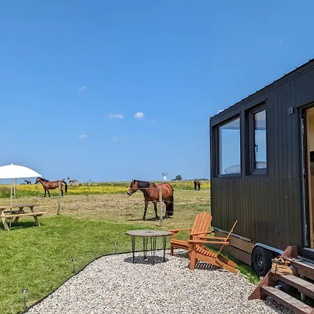 Tiny House La Cavalerie, Au Milieu Des Chevaux ! Alpstuga Annouville-Vilmesnil